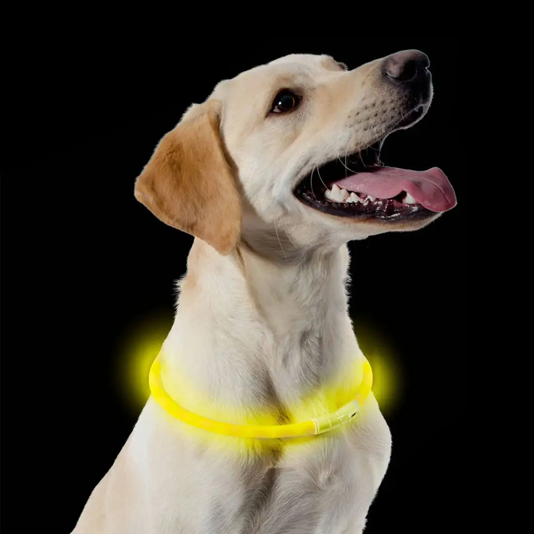 Ancol Collar Flashing LED Rechargeable USB - Image 2
