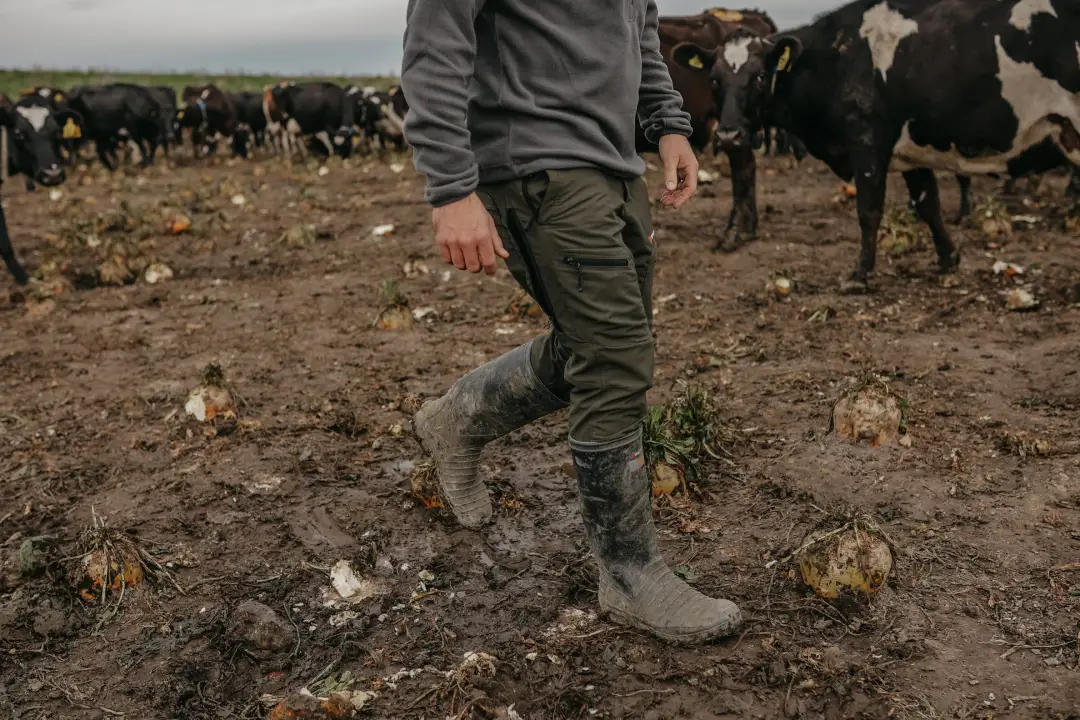 Bushbuck Venture Pants 2.0 - Image 4