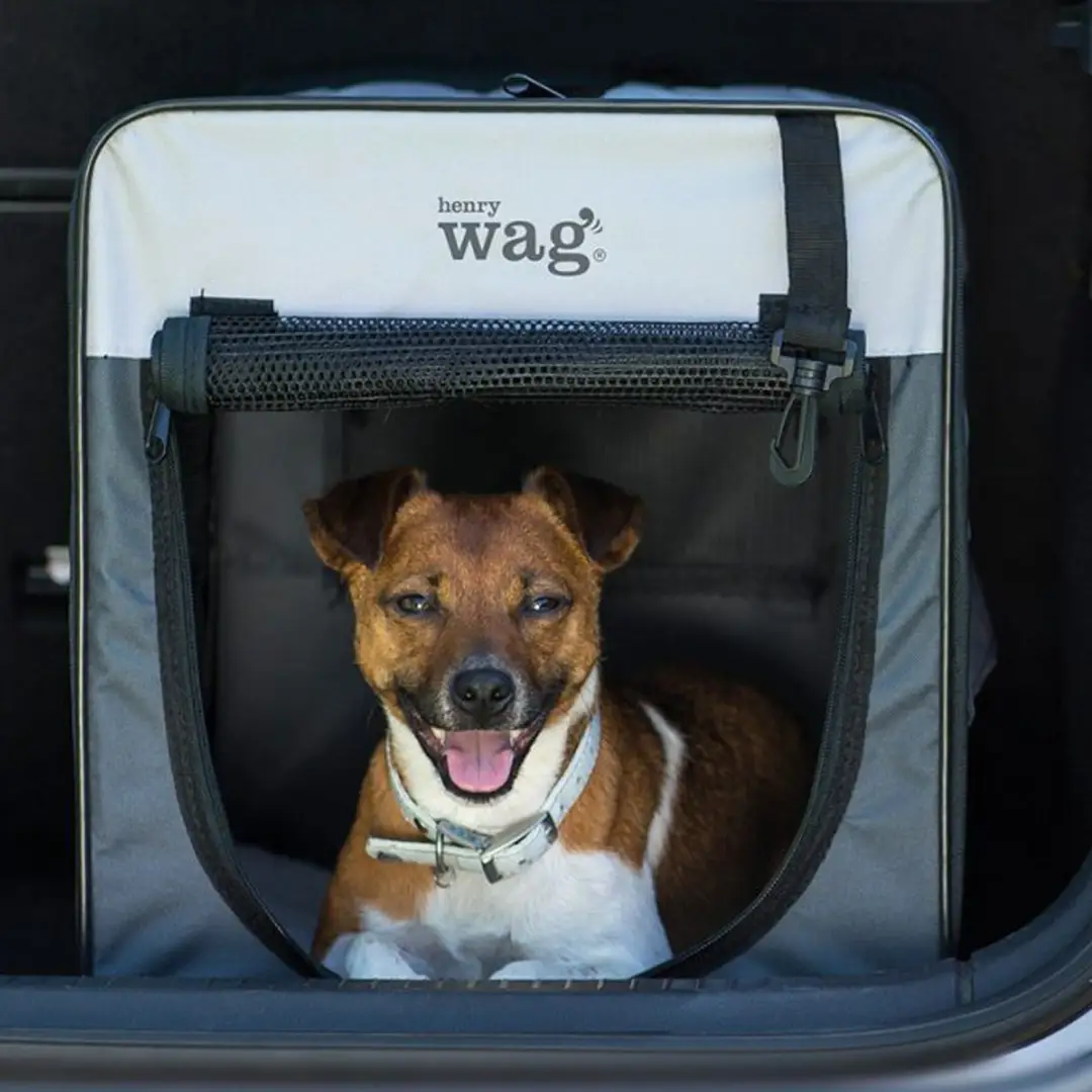 Henry Wag Folding Fabric Travel Pet Crate - Image 2