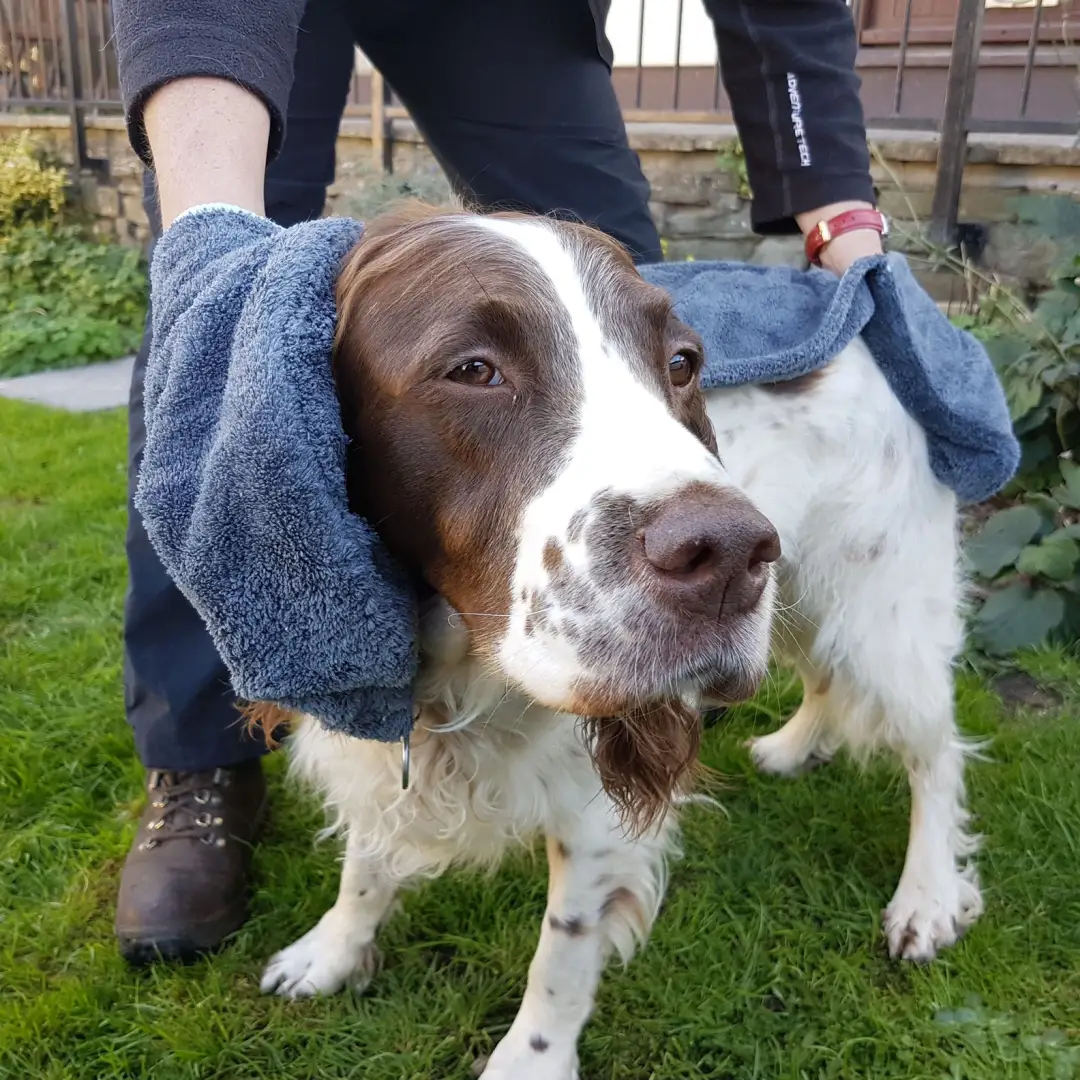 Henry Wag Pet Glove Drying Towel - Image 2