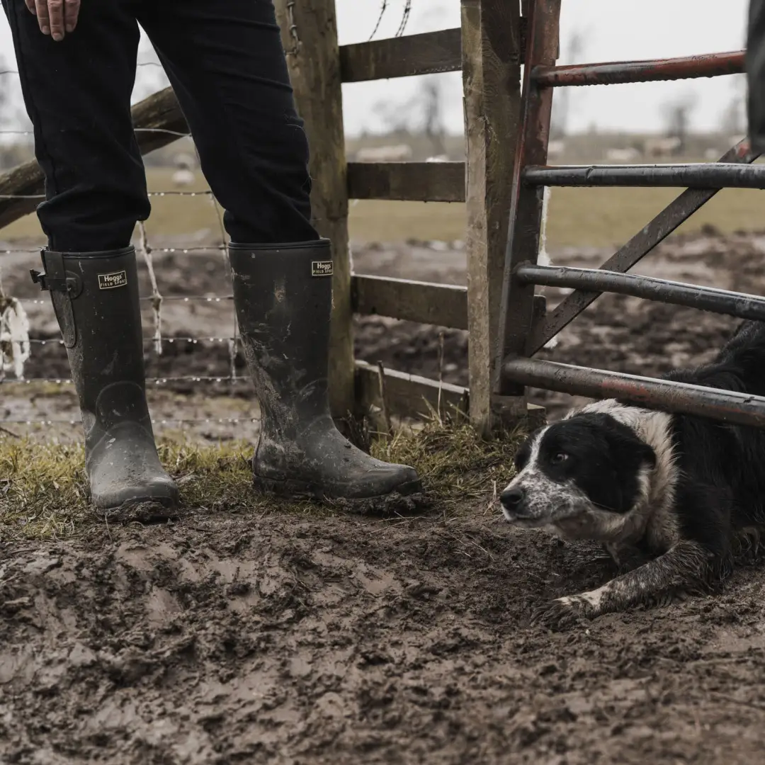 Hoggs of Fife Field Sport Neoprene-lined Wellingtons - Image 5