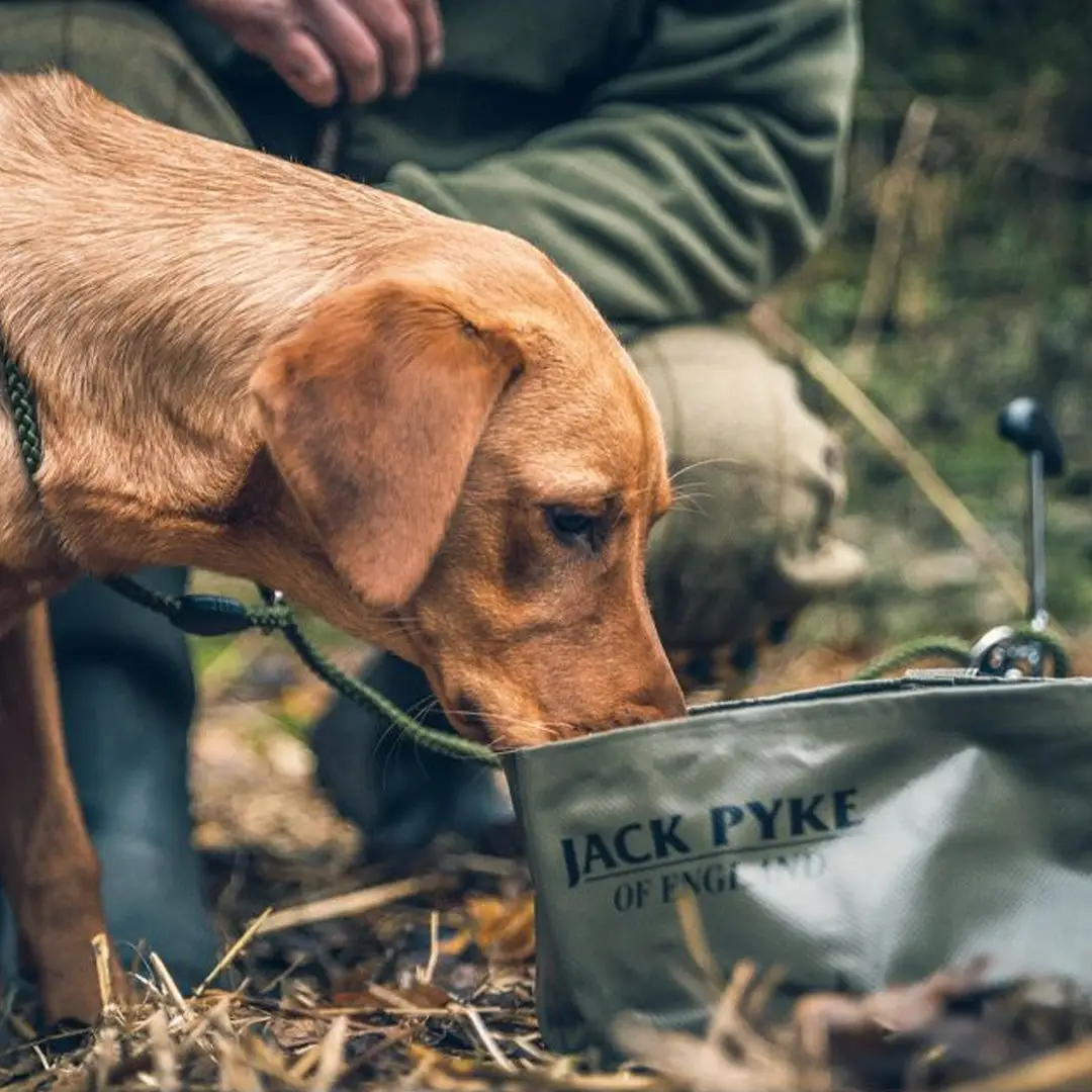 Jack Pyke Collapsible Dog Bowl - Image 2