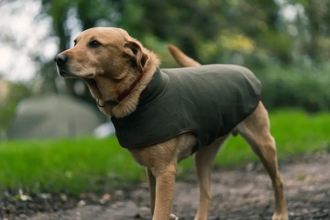 Jack Pyke Fleece Dog Coat - Image 2