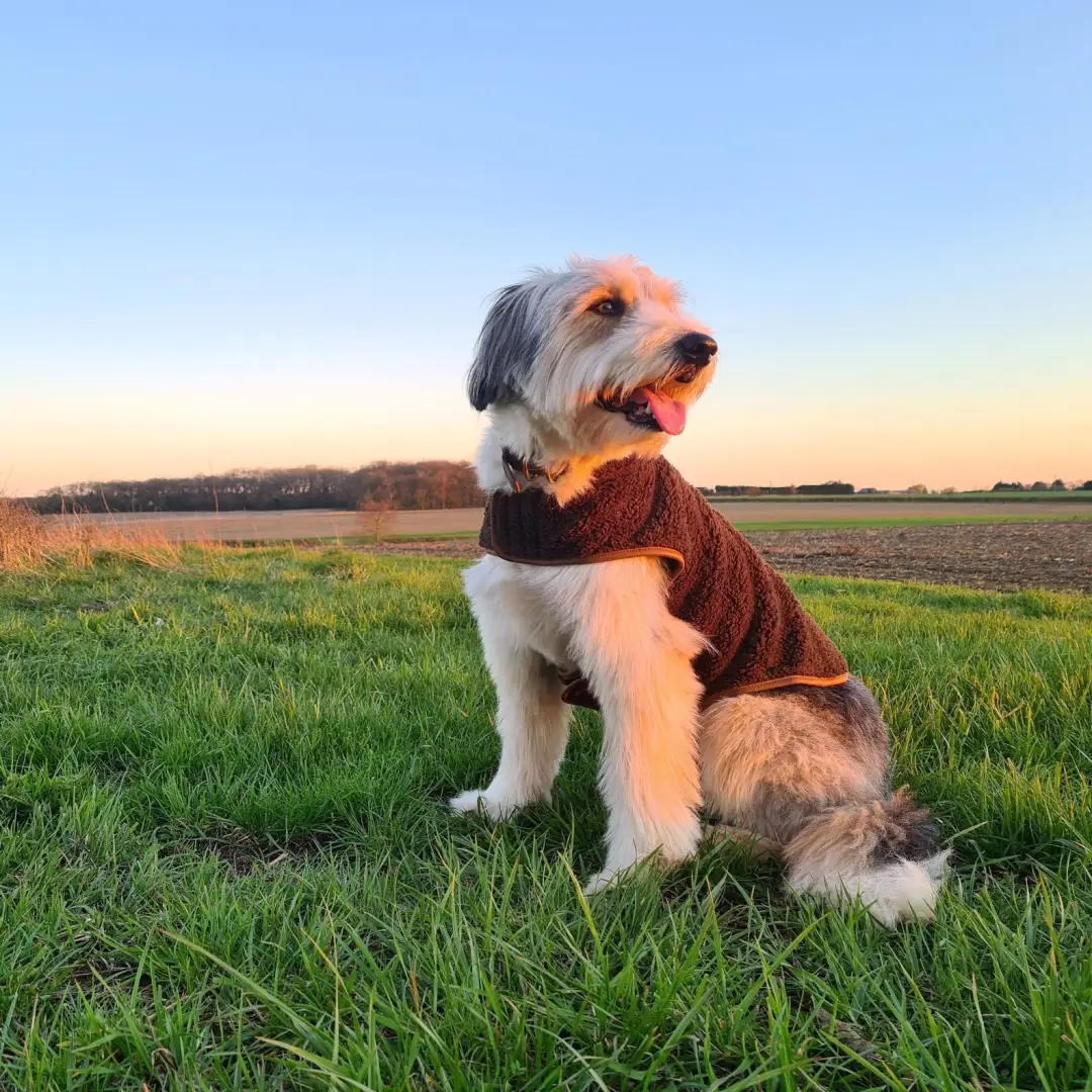 Jack Pyke Sherpa Fleece Dog Coat - Image 2