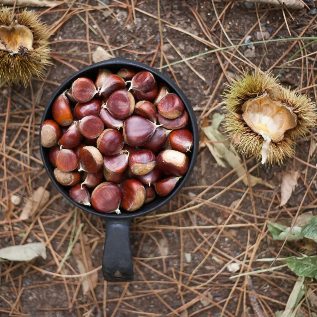 Kupilka Bowl - Image 3