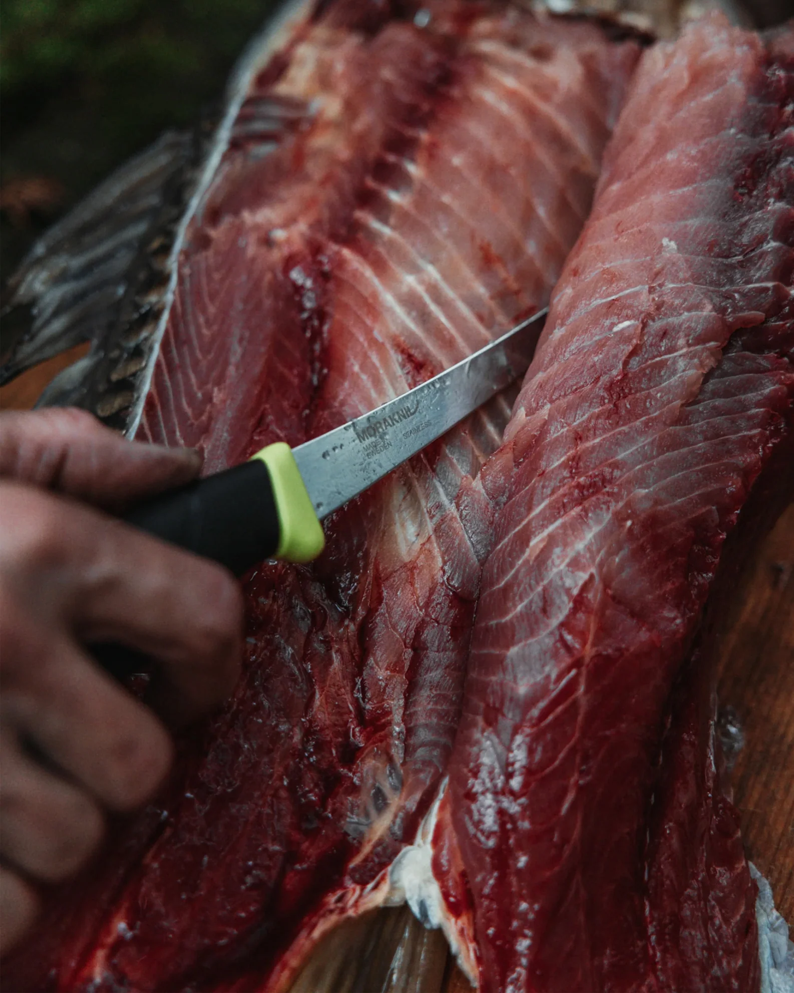 Mora Companion Fish Fillet Knife 155 (S) - Image 2