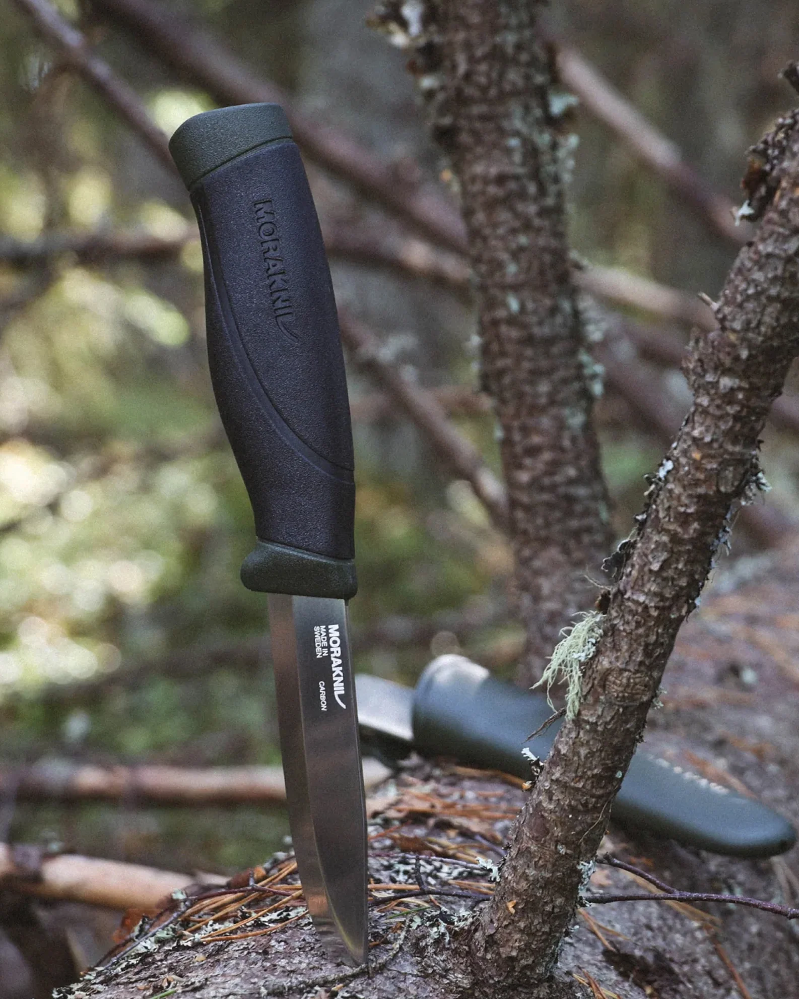 Mora Companion HeavyDuty (C) - Image 2