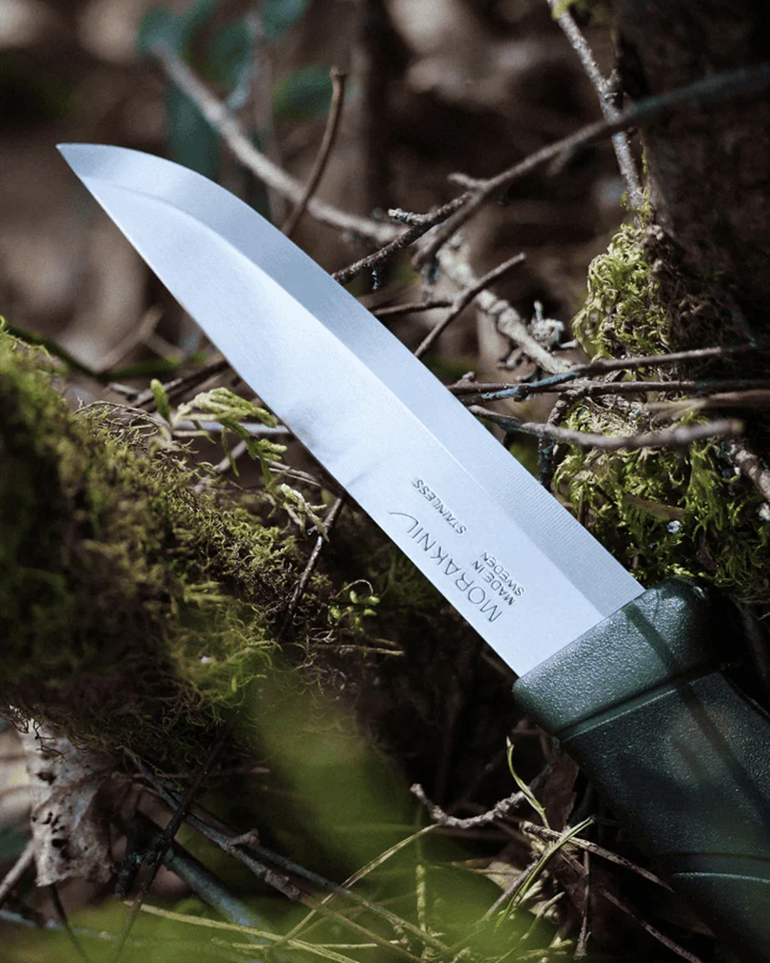 Mora Companion (S) - Image 2