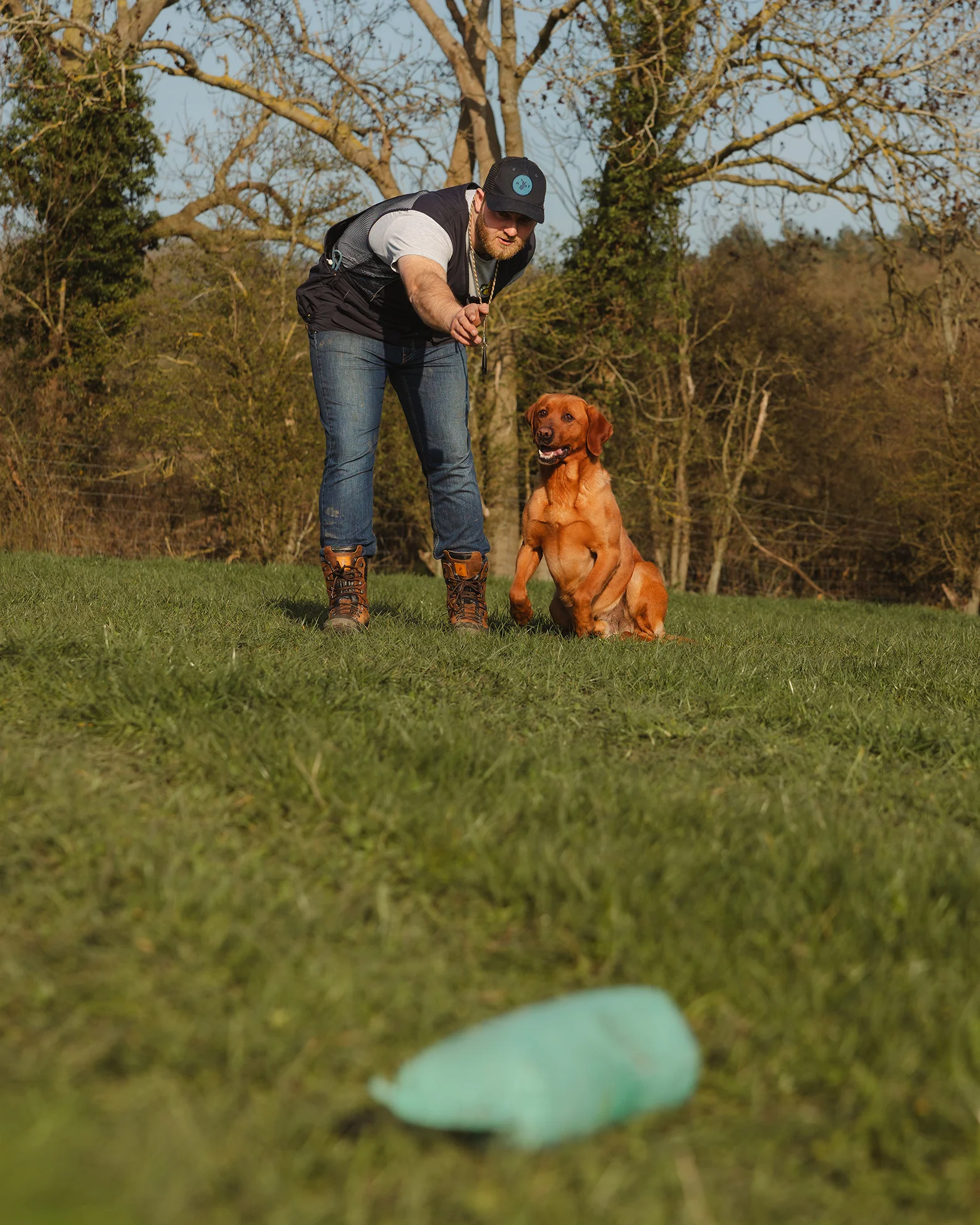 New Forest Dog Training Vest II - Image 12