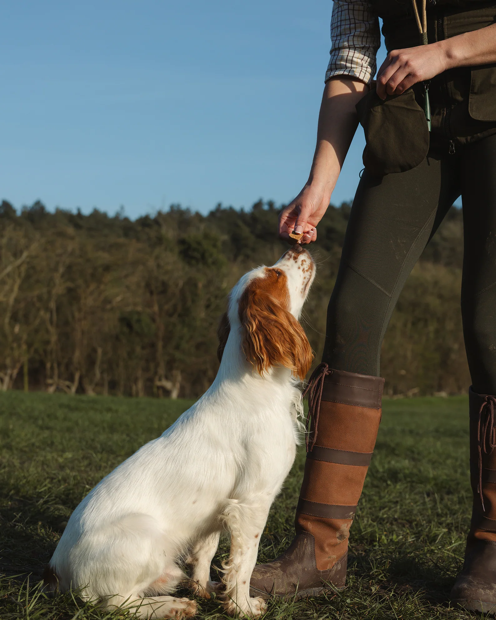 New Forest Ladies Dog Training Vest II - Image 11