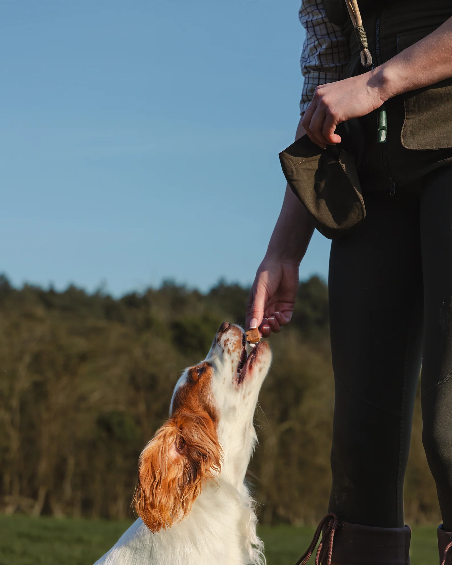 New Forest Ladies Dog Training Vest II - Image 16
