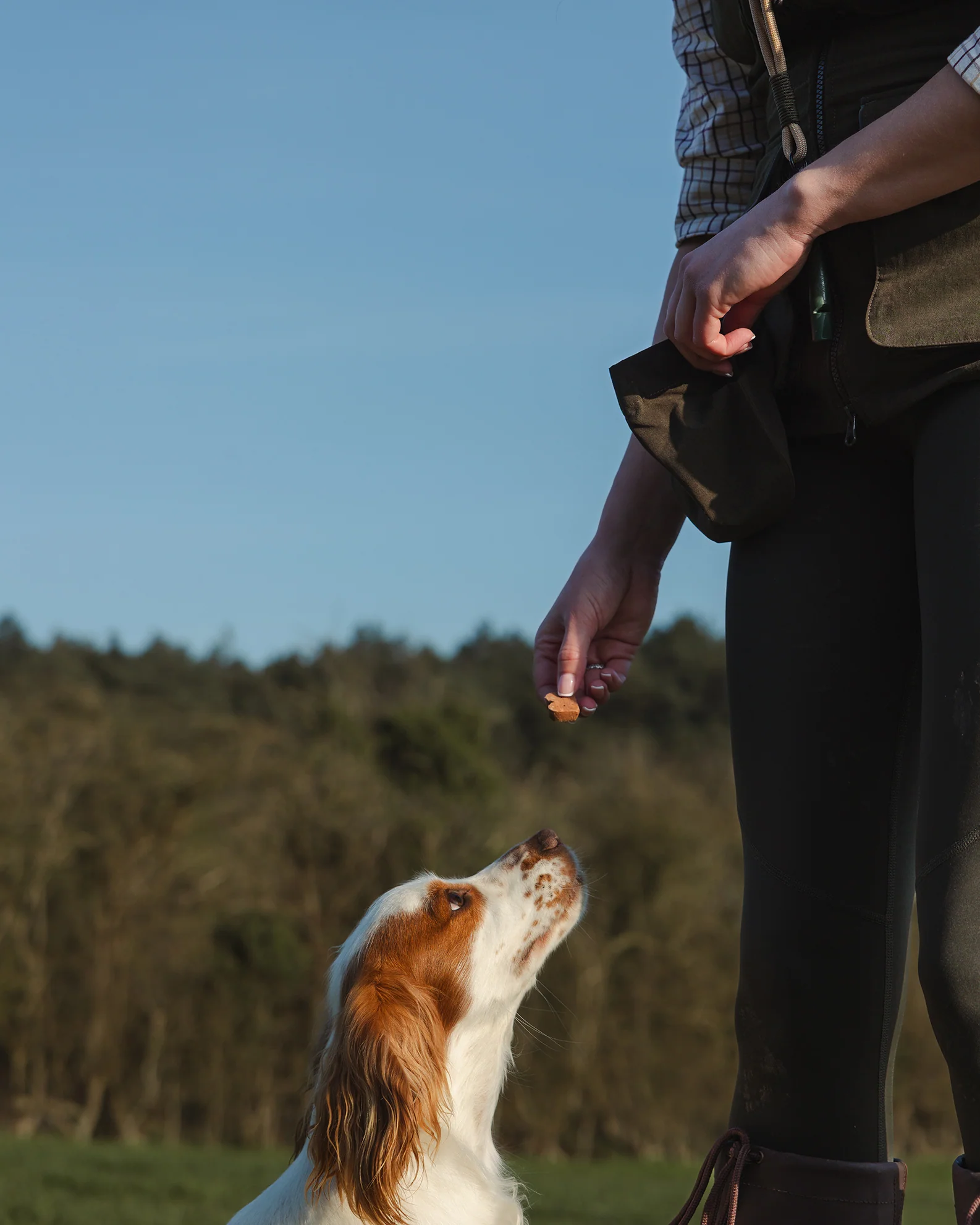 New Forest Ladies Dog Training Vest II - Image 7