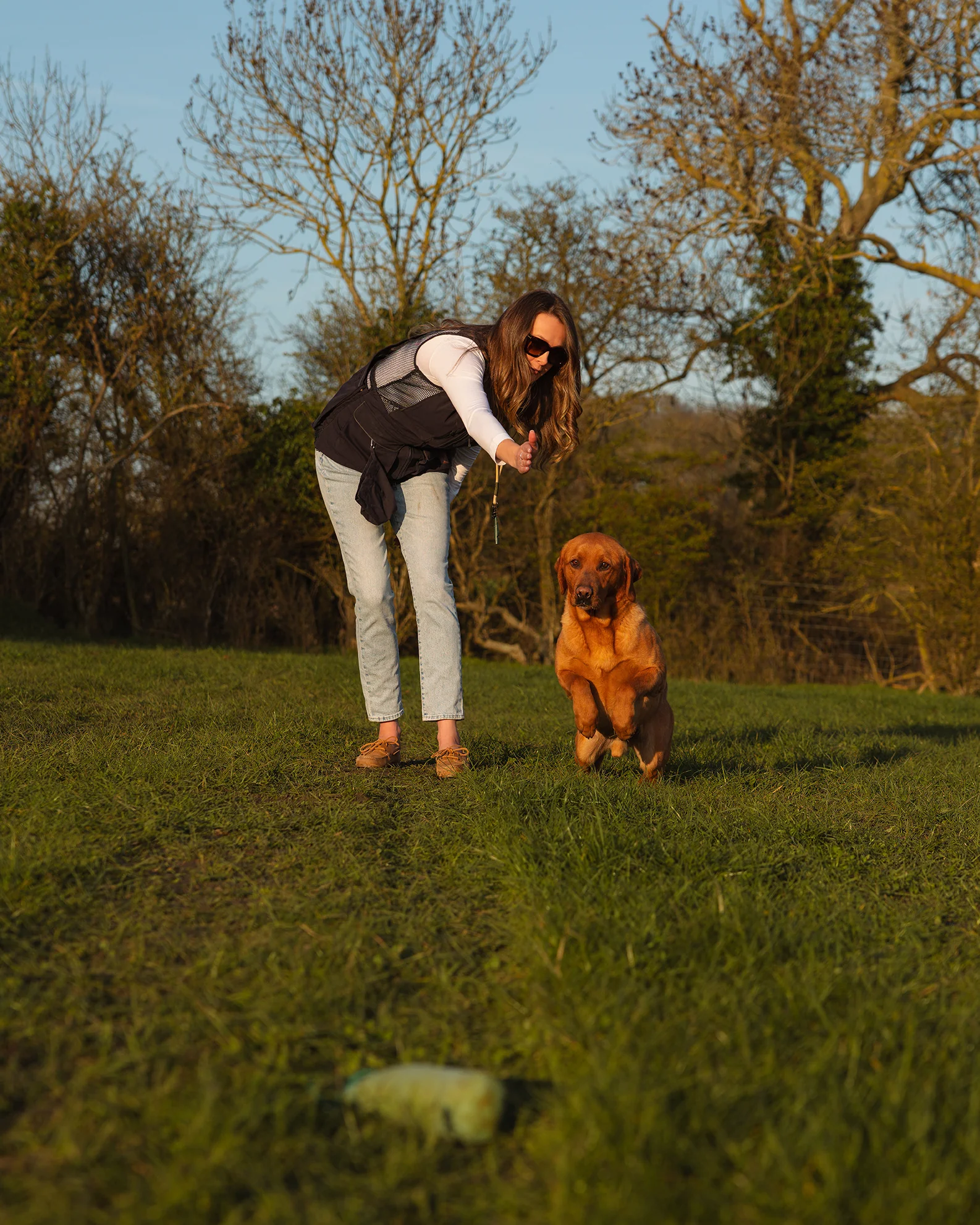 New Forest Ladies Dog Training Vest II - Image 15