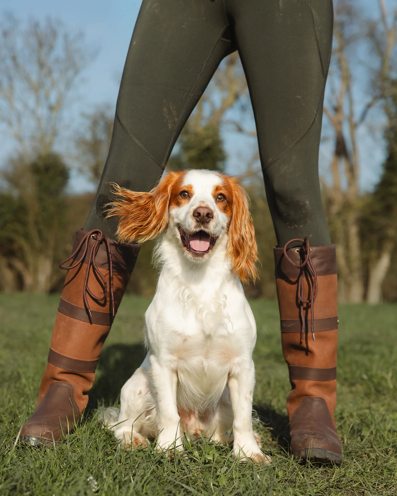 New Forest Ladies Trek Leggings - Image 8