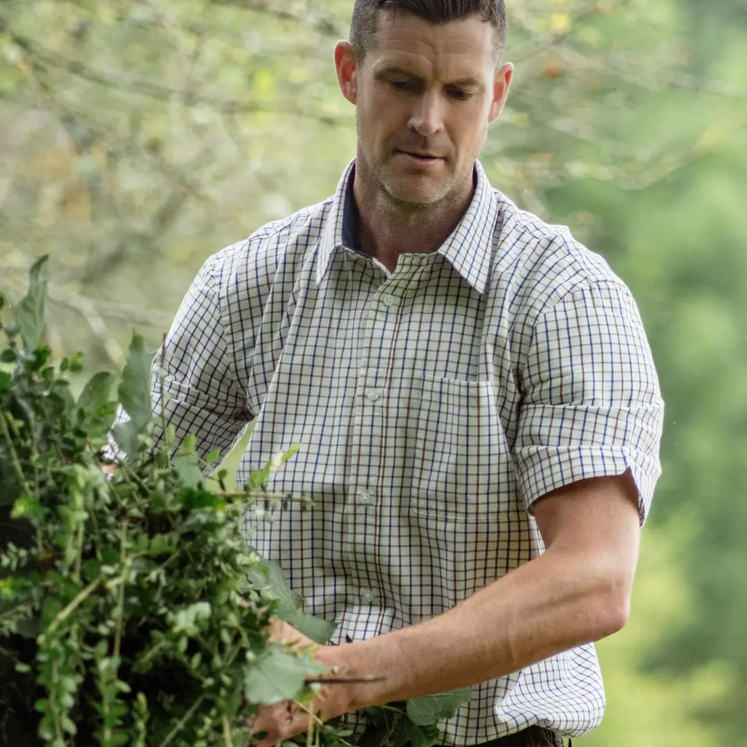 New Forest Premium Short Sleeve Shirt - Image 3