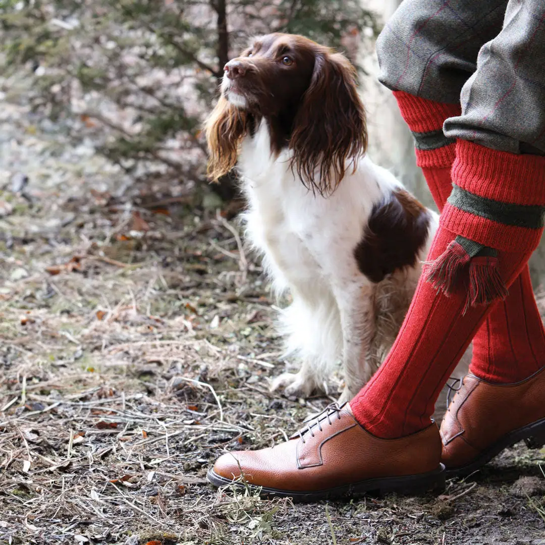 Pennine Byron Shooting Socks - Image 2