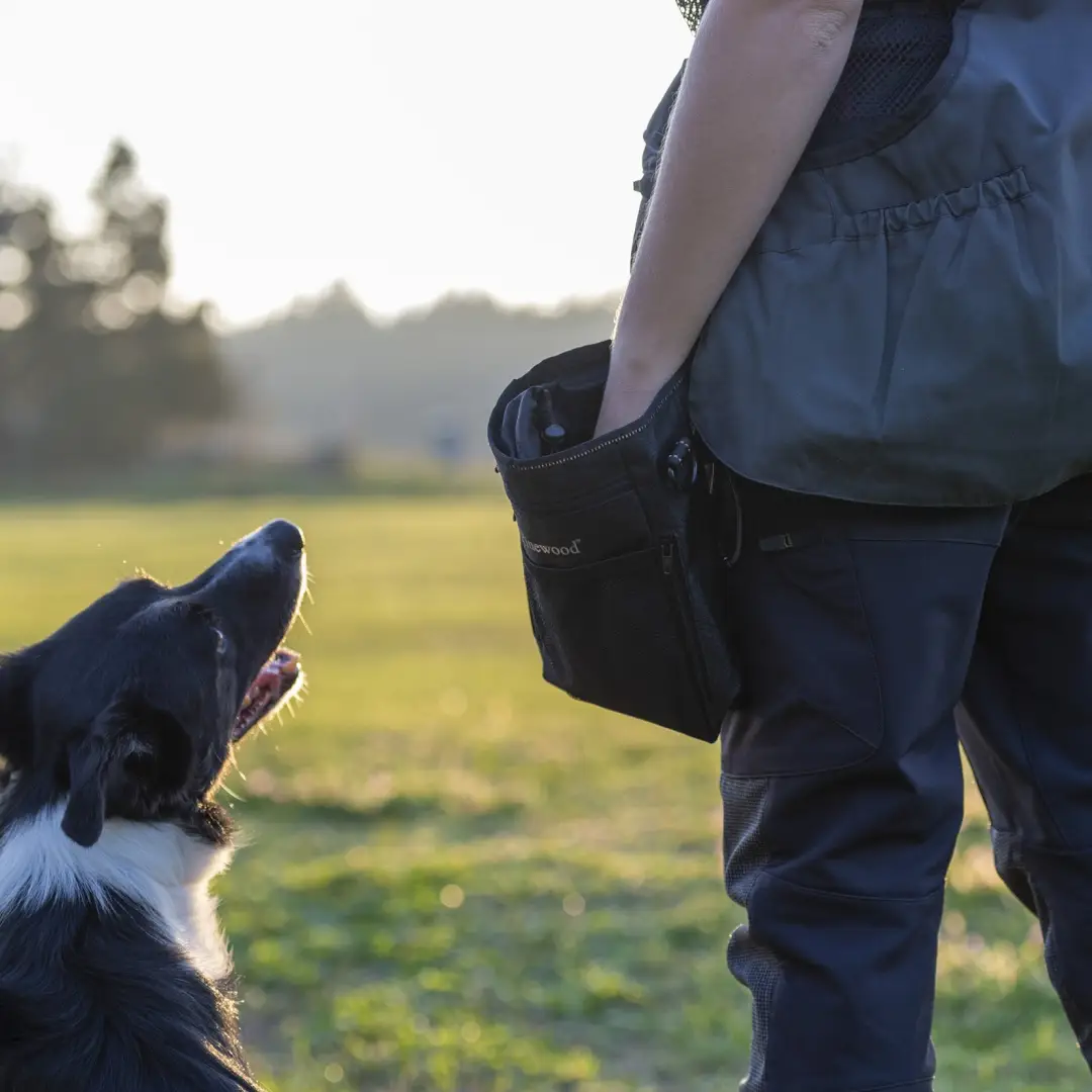 Pinewood Small Dog Sports Bag - Image 2