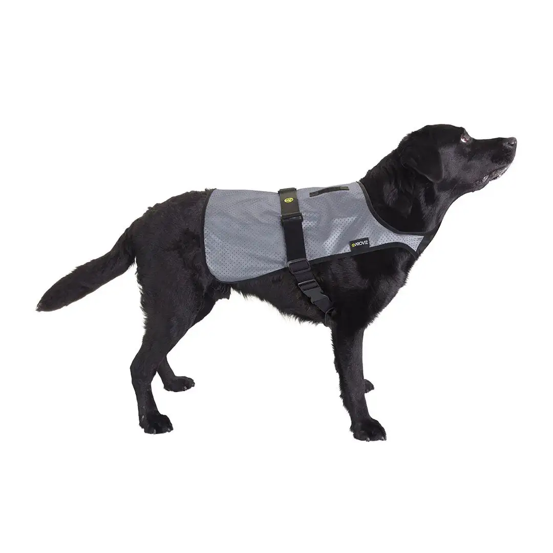 Proviz Explorer Reflective Dog Vest