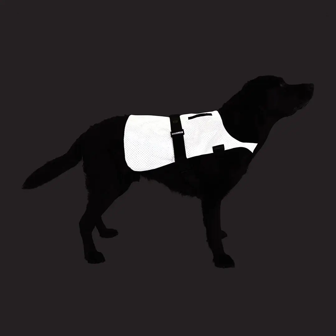 Proviz Explorer Reflective Dog Vest - Image 2