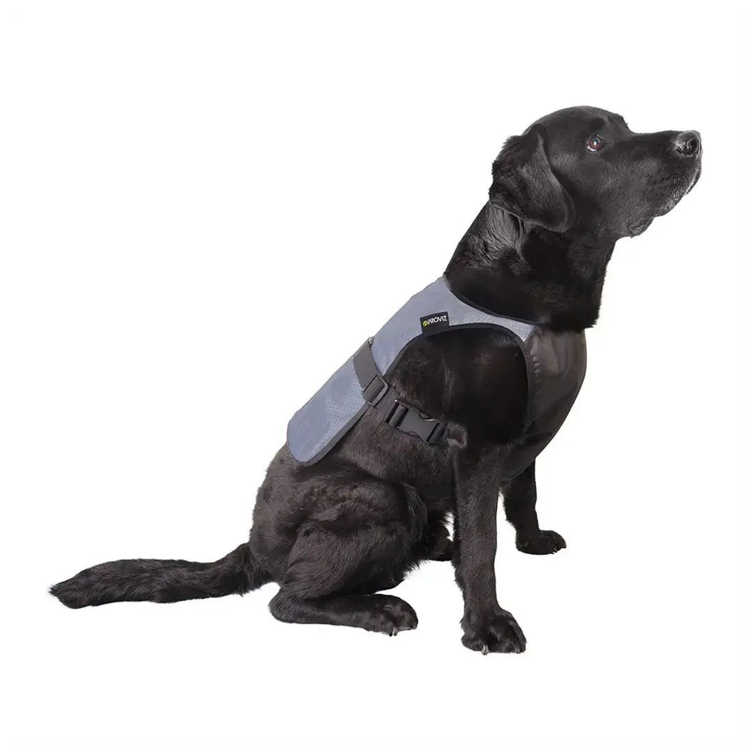 Proviz Explorer Reflective Dog Vest - Image 3
