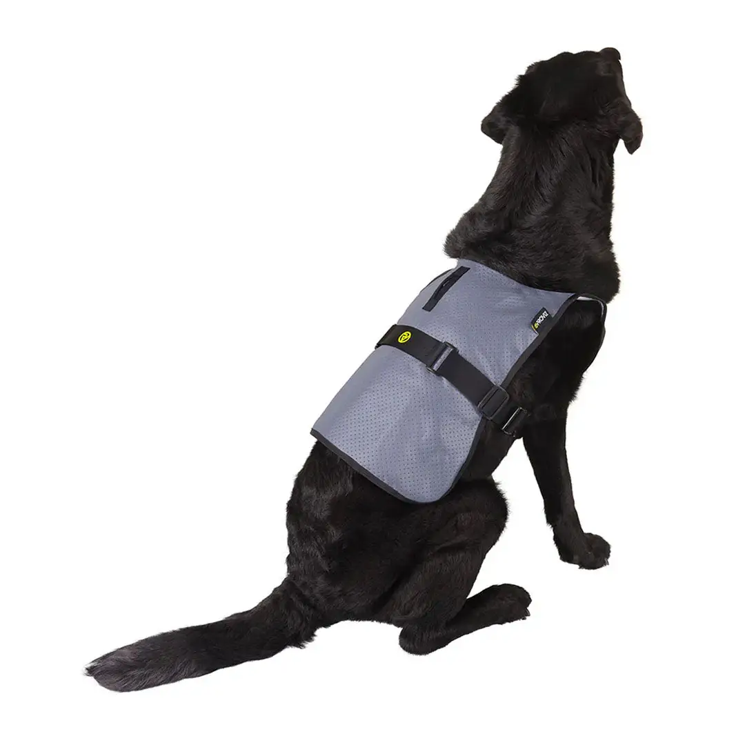 Proviz Explorer Reflective Dog Vest - Image 4