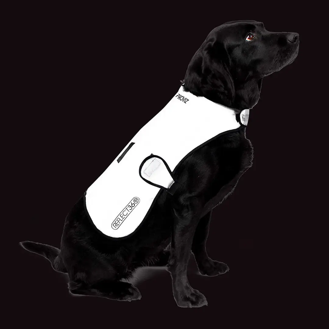 Proviz REFLECT360 WATERPROOF DOG JACKET - Image 2