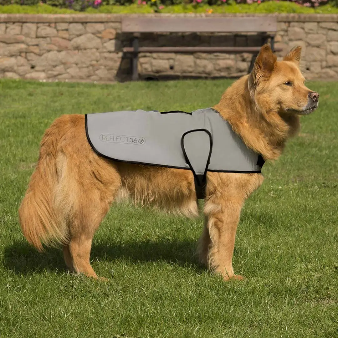 Proviz REFLECT360 WATERPROOF DOG JACKET - Image 3