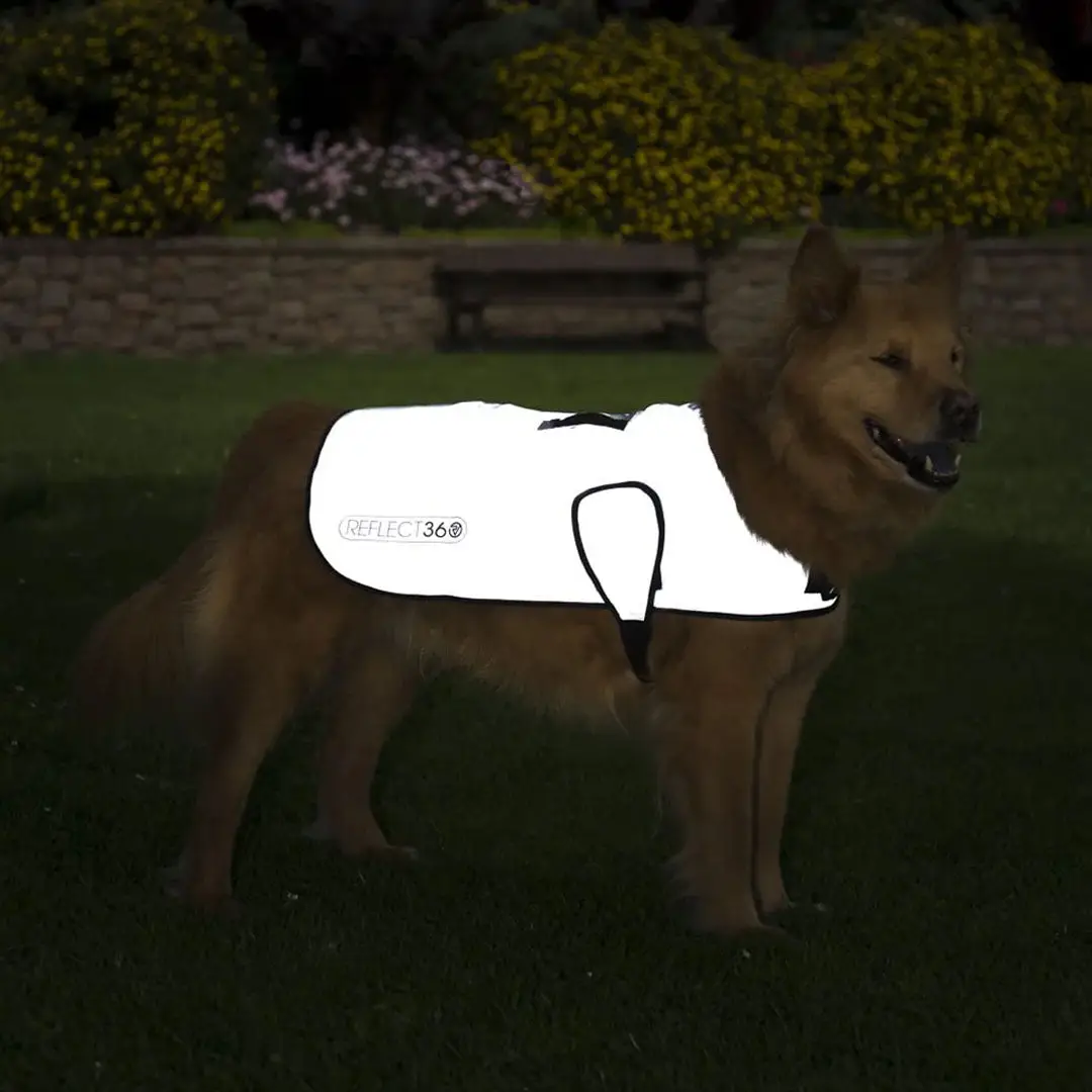 Proviz REFLECT360 WATERPROOF DOG JACKET - Image 4