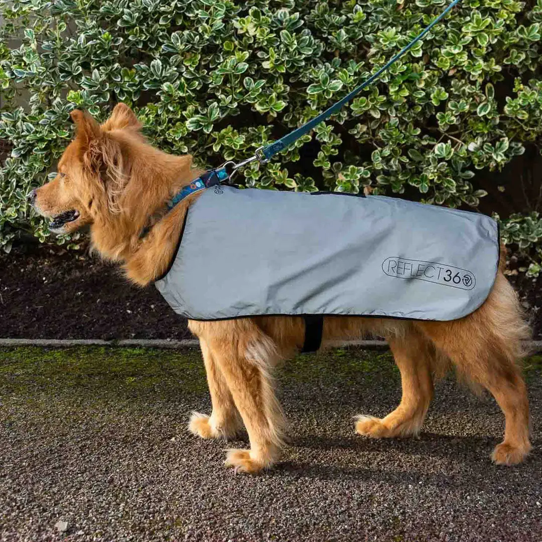 Proviz REFLECT360 WATERPROOF FLEECE LINED DOG JACKET - Image 3