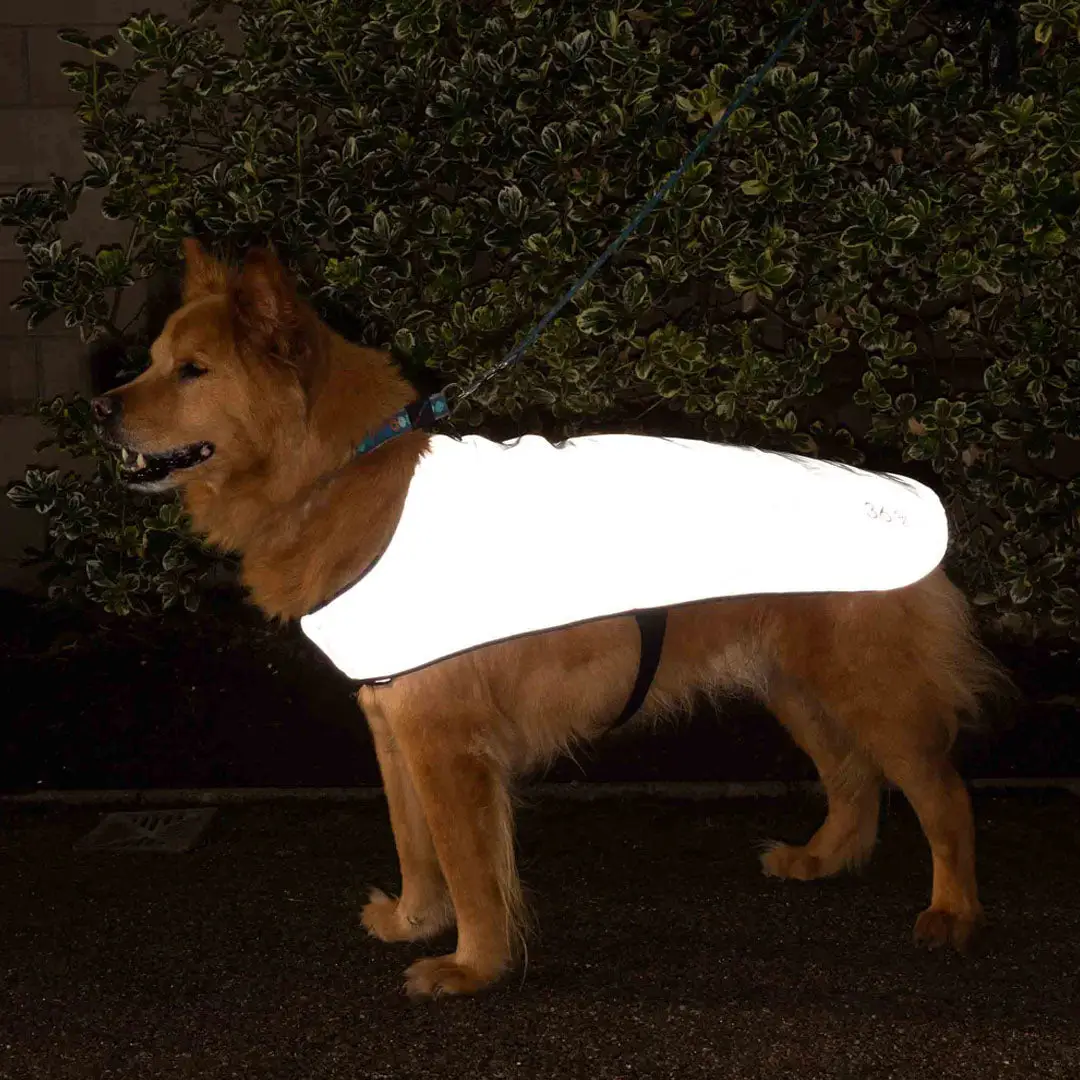Proviz REFLECT360 WATERPROOF FLEECE LINED DOG JACKET - Image 5