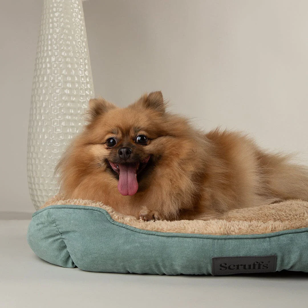 Scruffs Cosy Box Bed - Image 3