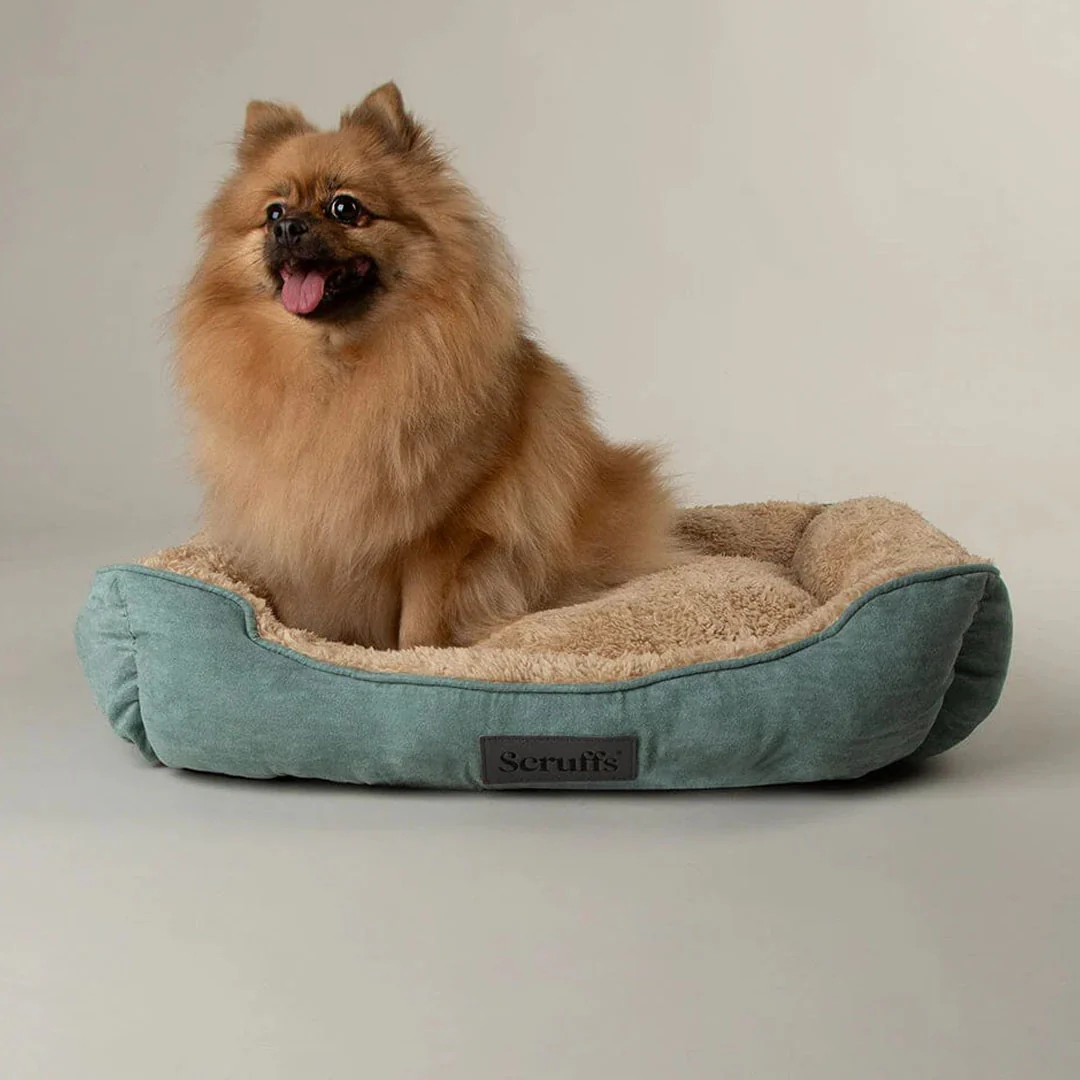 Scruffs Cosy Box Bed - Image 6
