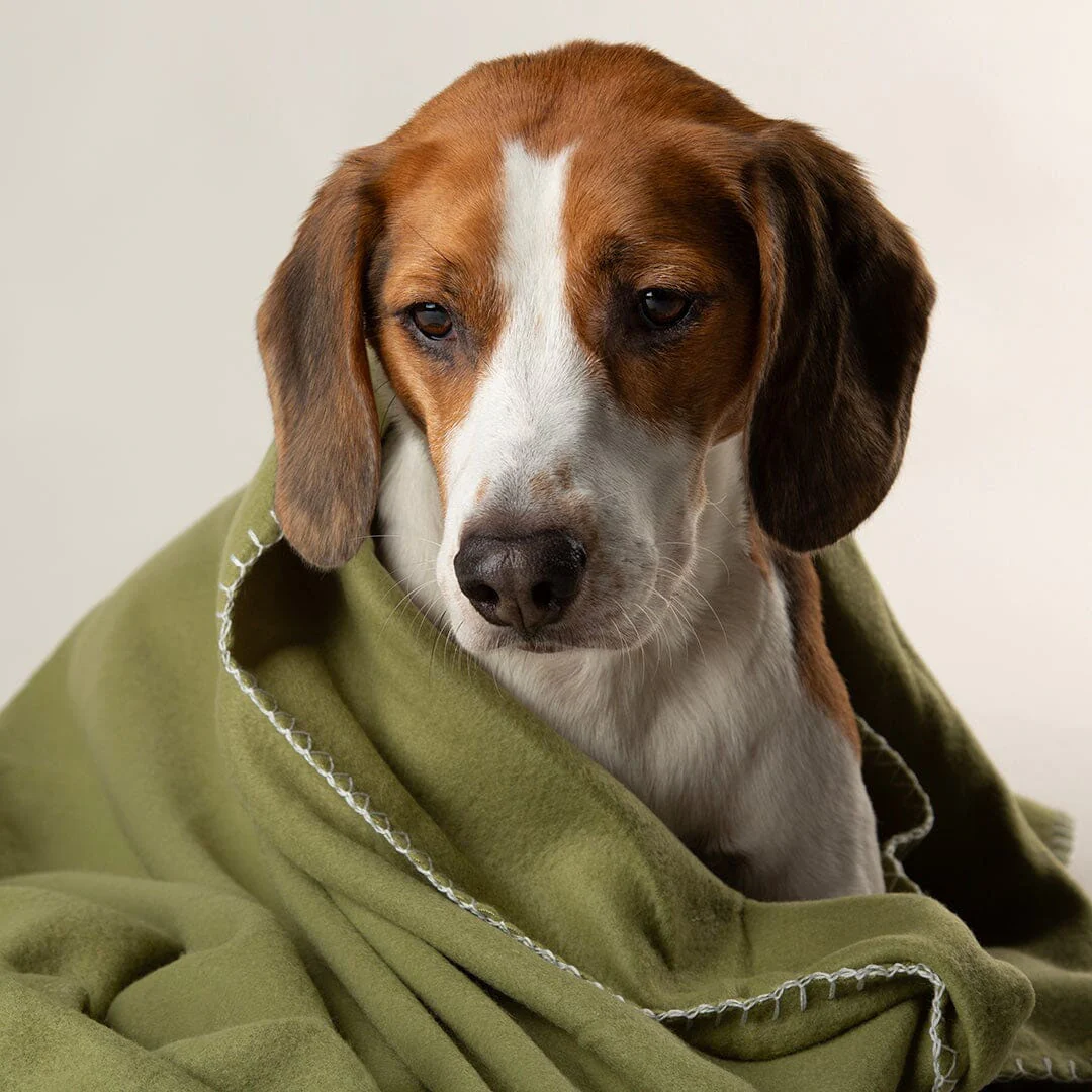 Scruffs Expedition Fleece Pet Blanket - Image 6