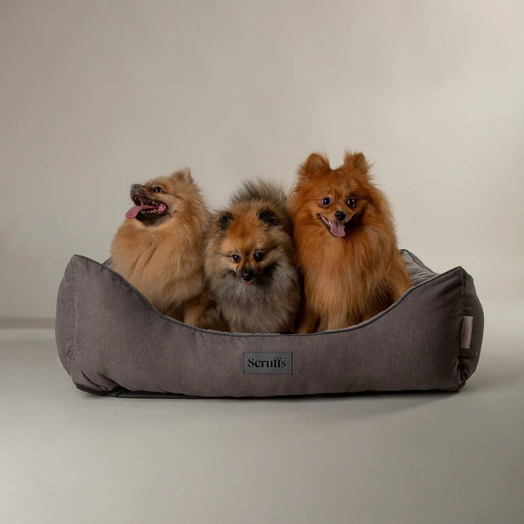 Scruffs Thermal Box Bed - Image 4