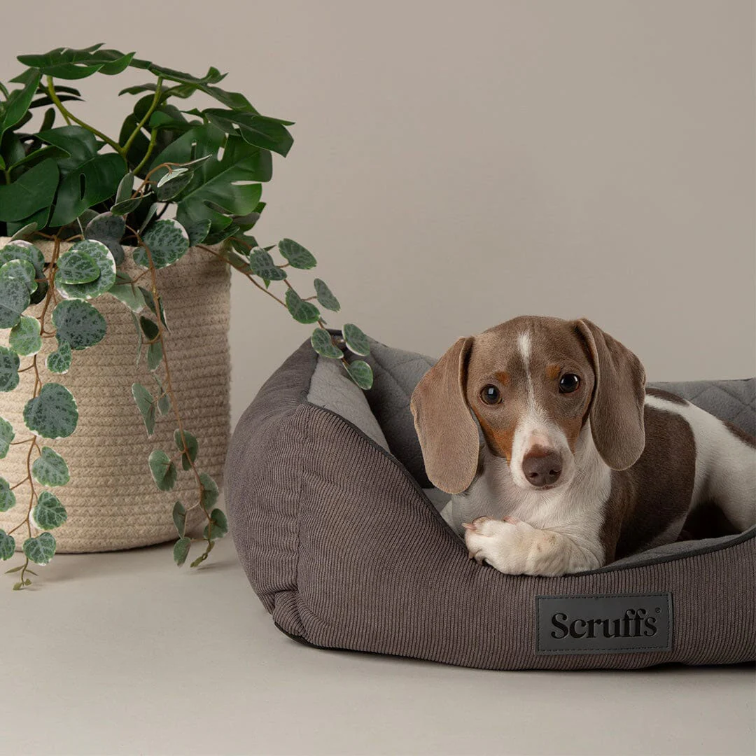 Scruffs Thermal Box Bed - Image 6