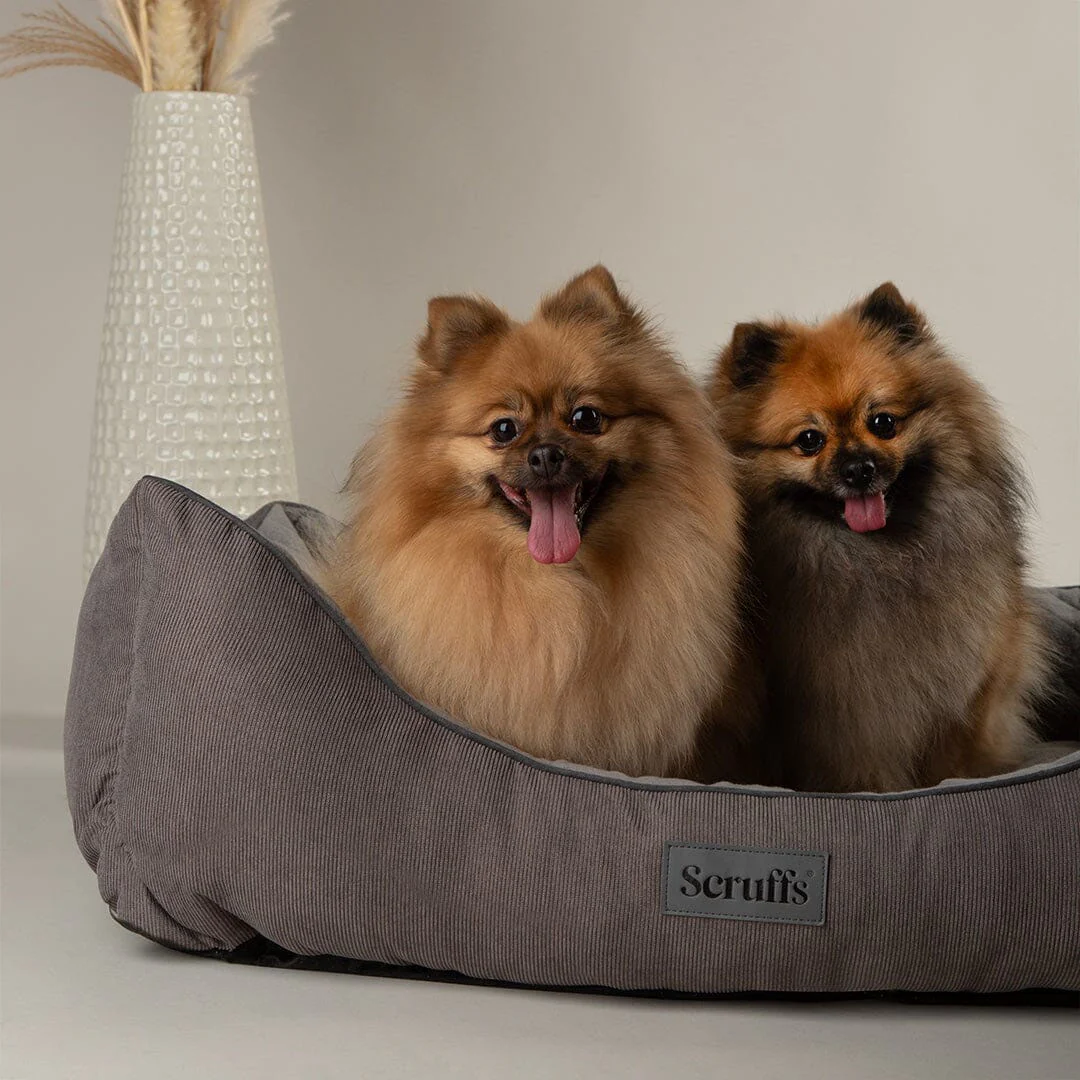 Scruffs Thermal Box Bed - Image 7